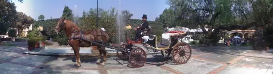 Carruaje con caballos frente a una fuente en un jardín