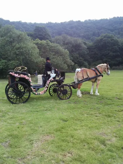 Carreta tirada por un caballo en un campo con bosque al fondo