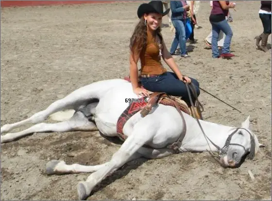 Mujer sentada sobre un caballo blanco echado en el ruedo