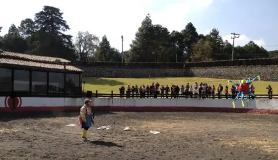 Ruedo de arena con público al fondo