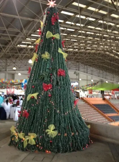 Árbol de Navidad decorado dentro del lienzo charro