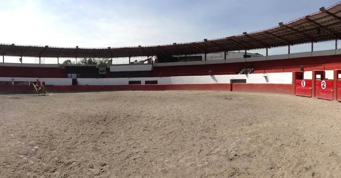 Vista panorámica del ruedo con barrera roja, gradas techadas y un jinete a caballo