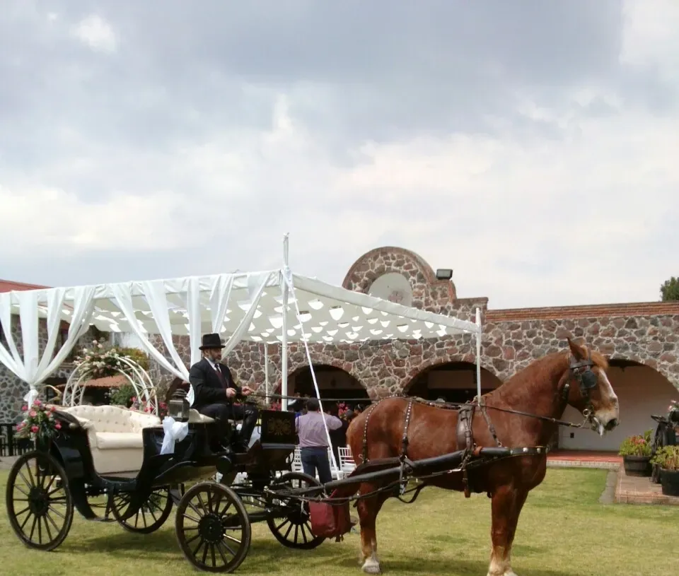 Carreta tirada por caballo con decoración blanca en un jardín