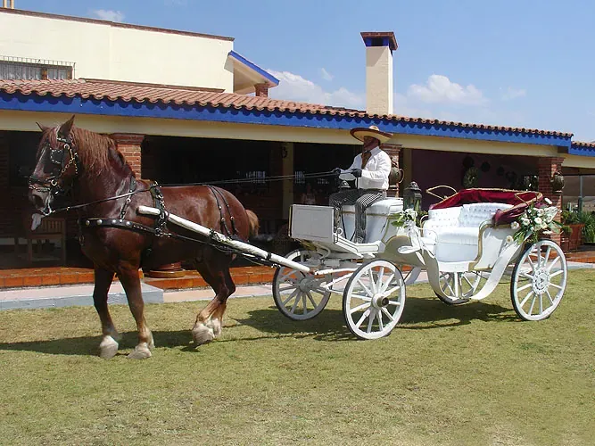 Carruaje blanco decorado con flores tirado por caballo