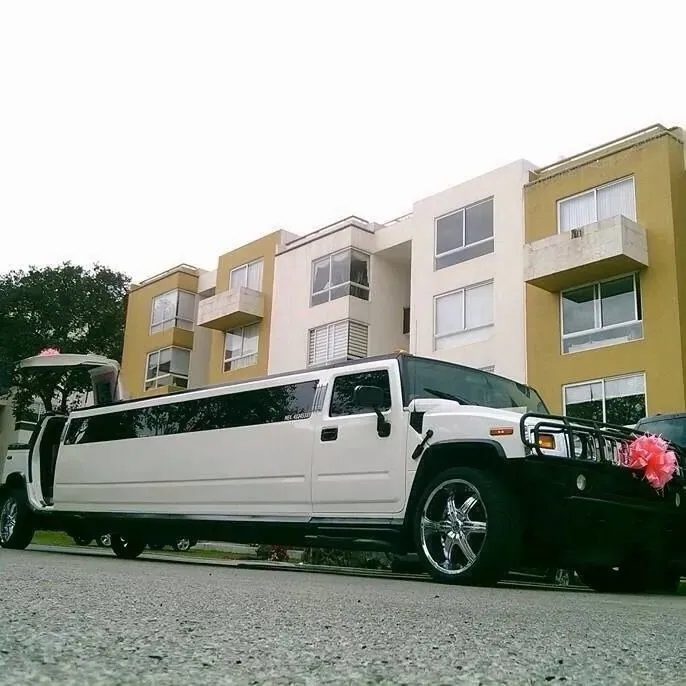 Limusina Hummer blanca con moño rosa estacionada frente a un edificio