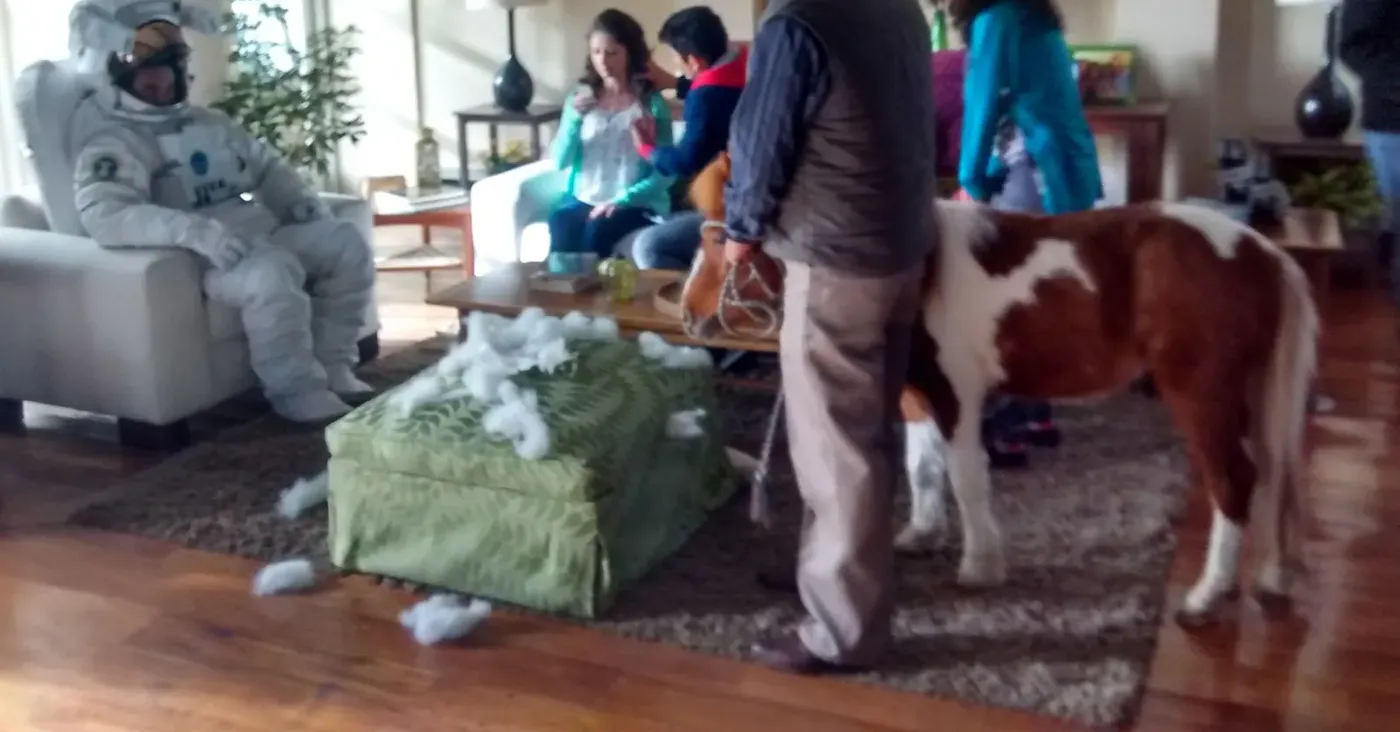 Pony en una fiesta con invitados al fondo